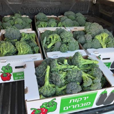 ברוקולי 2