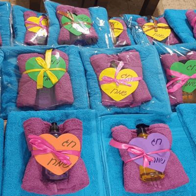 משלוח דימונה