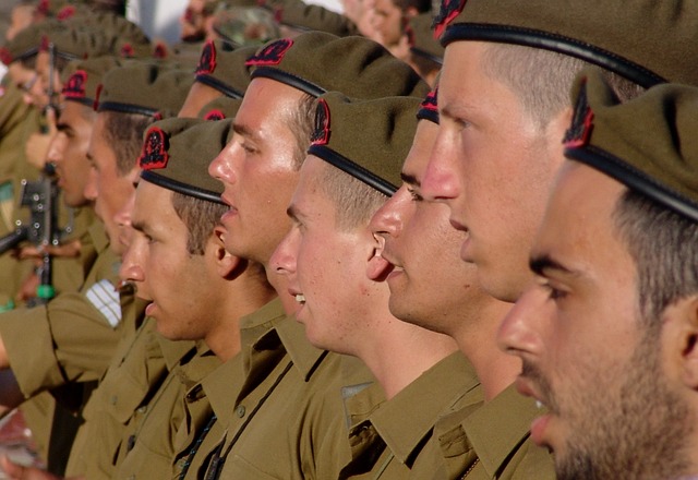 Supporting the IDF